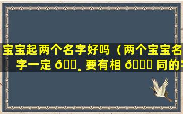 宝宝起两个名字好吗（两个宝宝名字一定 🕸 要有相 🐘 同的字吗）